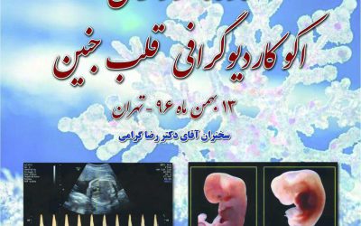 کارگاه سونوگرافی – اکوکاردیوگرافی قلب جنین – بهمن 96 – تهران. دکتر رضا گرامی