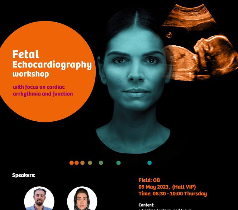 Fetal Echocardiography Workshop ( with focus on cardiac arrhythmia and function)