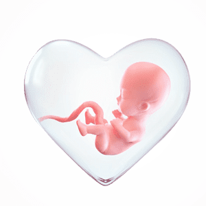 اکو قلب جنین یک سونوگرافی پیشرفته جهت شناسایی و تشخیص بیماری‌های قلبی جنین به صورت تخصصی قبل از زایمان است.