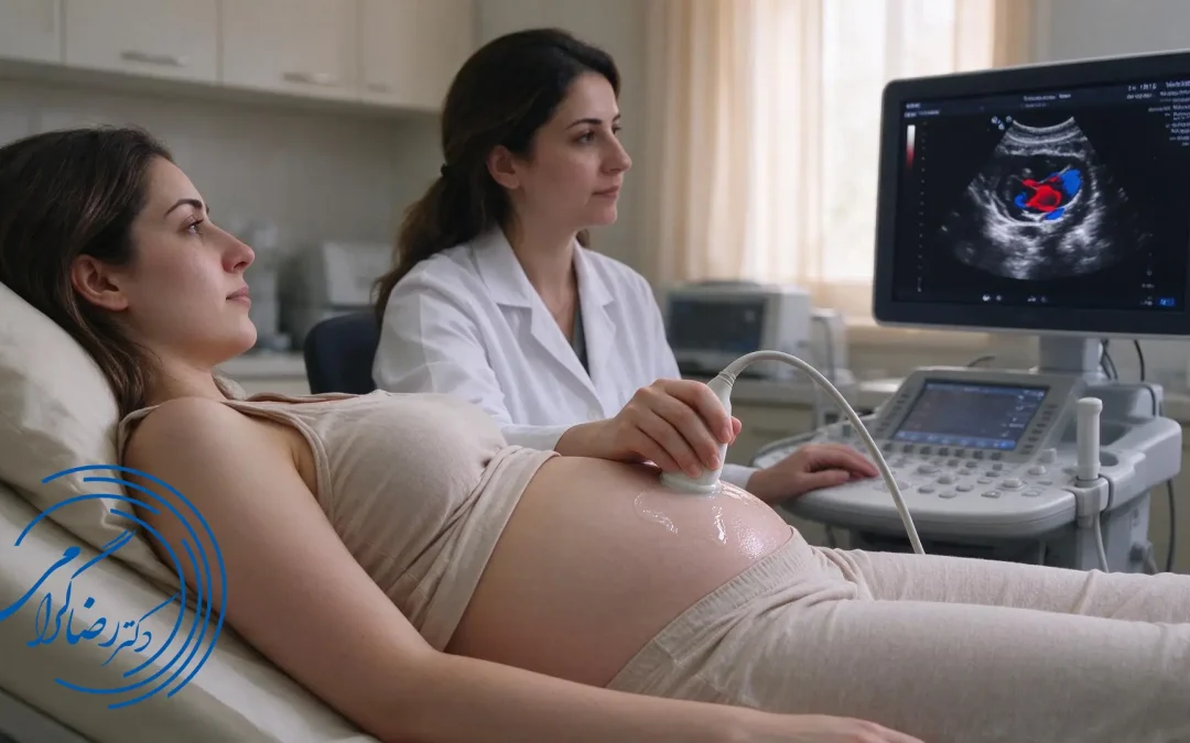 fetal-echocardiography-preparation-guide